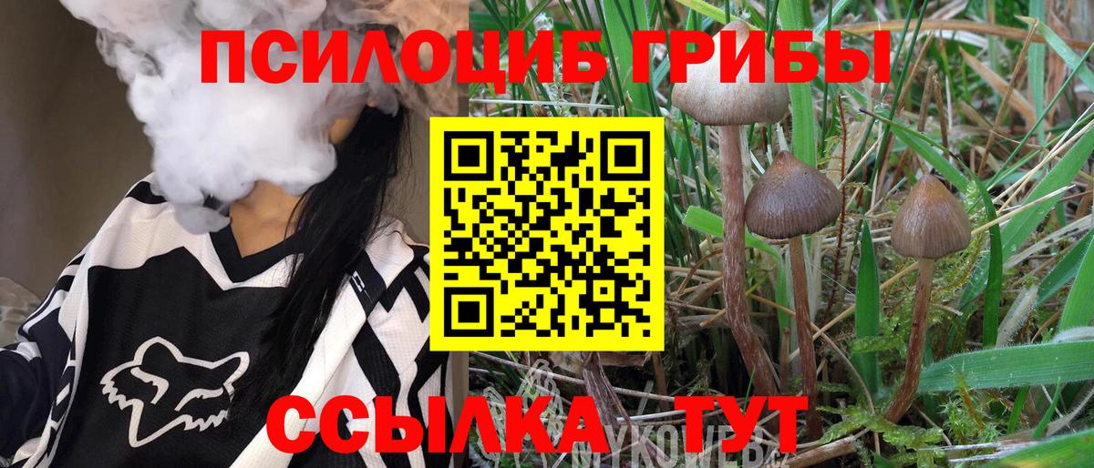 Псилоцибиновые грибы Magic Shrooms  Вход с VPN  Ангарск 